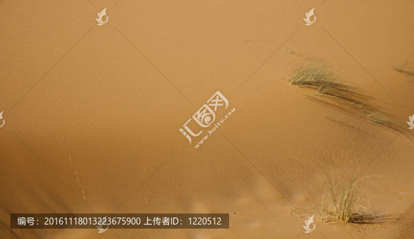 摩洛哥沙漠沙丘；梅爾祖卡