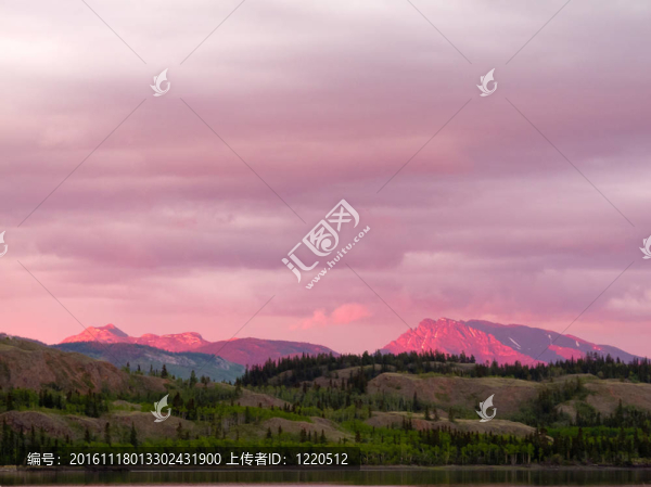 遙遠的育空山脈里夕陽的光線