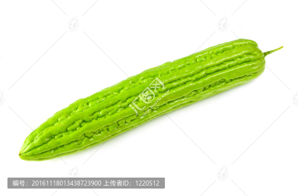 苦瓜