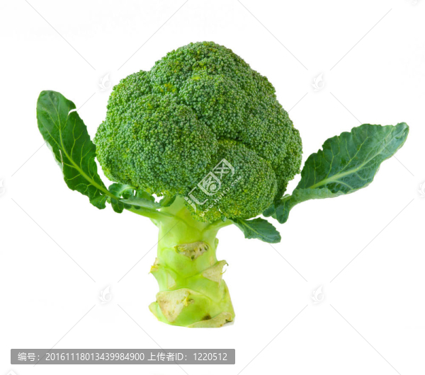 西蘭花中分離
