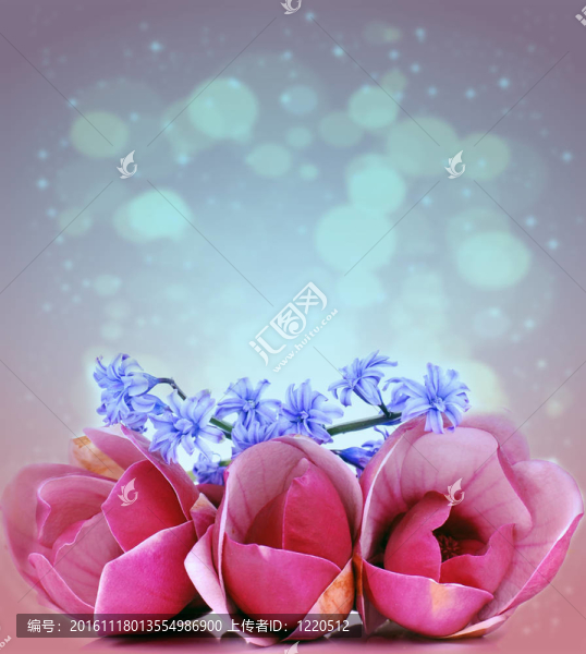 Flowers的背景