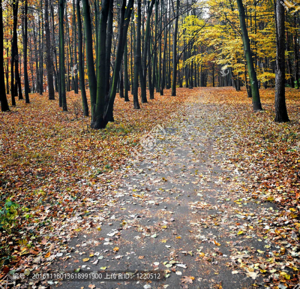路徑-匯圖網(wǎng) www.fosd68.com 路徑