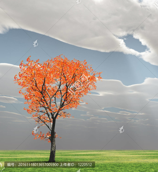 秋天的景色-匯圖網(wǎng) www.fosd68.com 秋天的景色