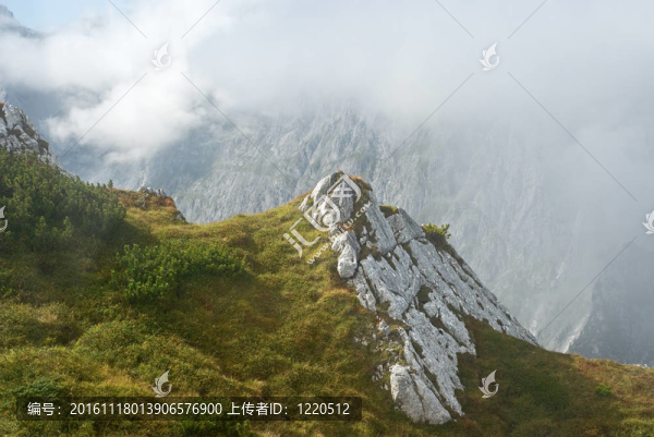 山地景觀帶