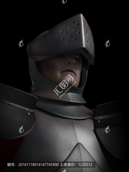 Battle,Scarred,Knight肖像