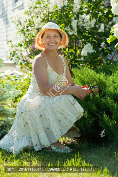 女園丁剪崖