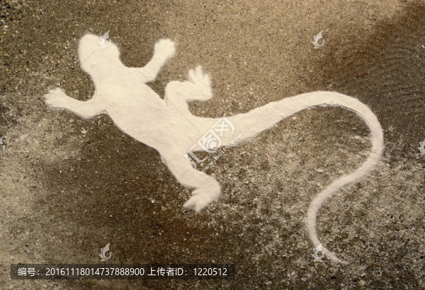 棕色砂面上的蜥蜴剪影
