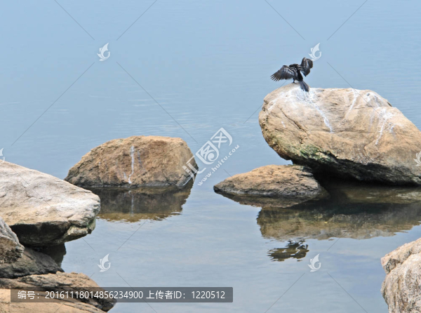 非洲在水邊的氛圍石鏢