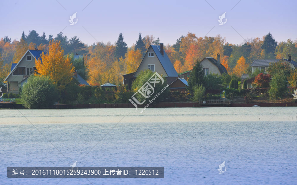 秋湖村