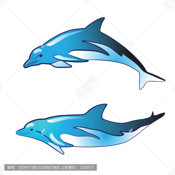 藍色的海豚