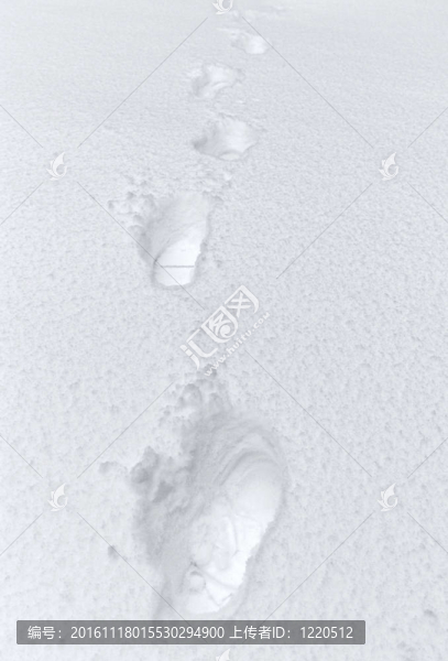 雪中的腳印