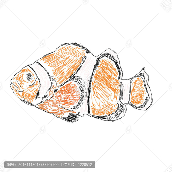 異國情調(diào)的海洋魚類插圖
