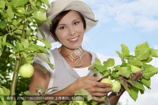 站在蘋果樹上的年輕女人肖像