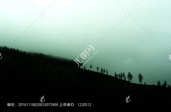 霧谷的早晨
