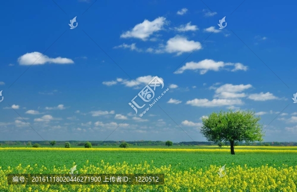 春天的風景