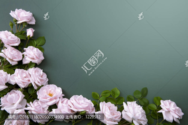 賀卡的藝術(shù)花卉背景