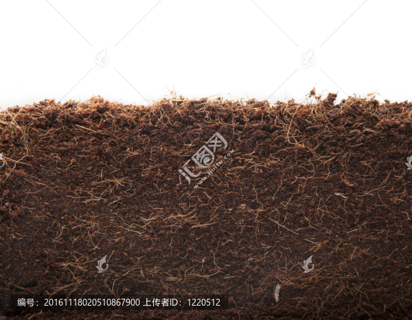 摘要椰糠堆肥背景