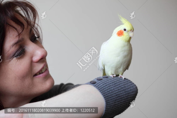 鸚鵡和女人