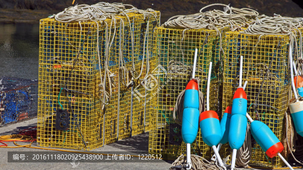 龍蝦籠buoys3