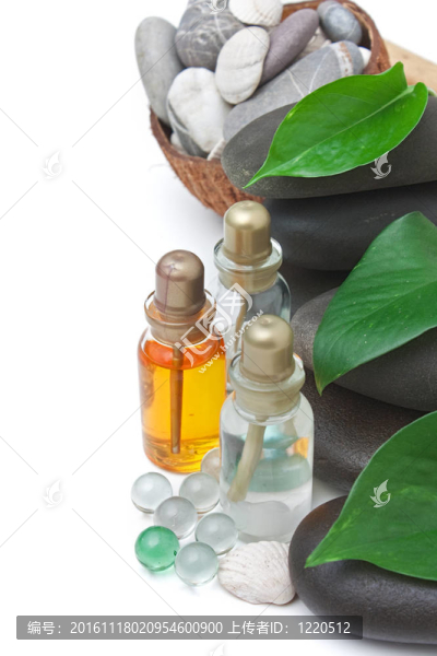 SPA放松治療