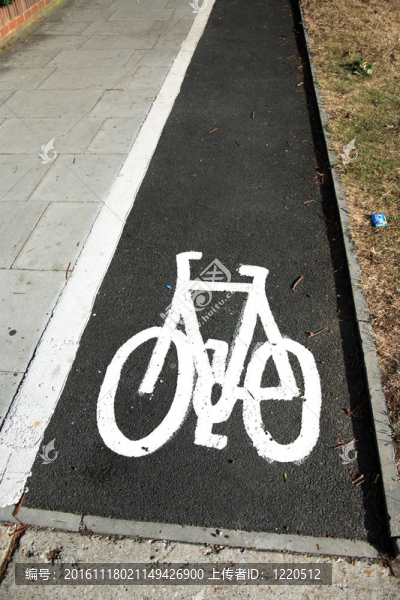 自行車車道