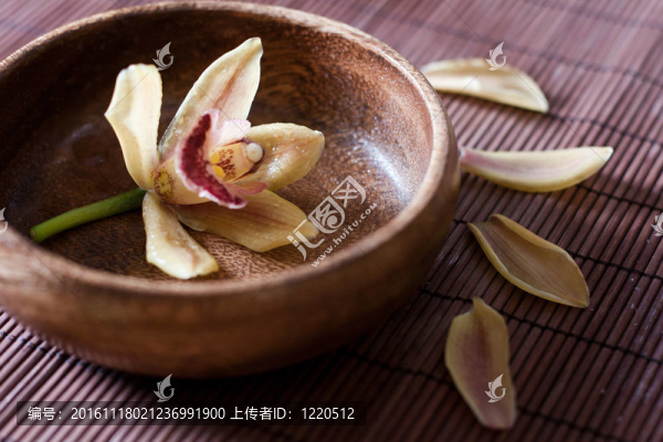 花蘭