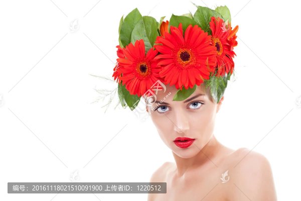 女人穿的非洲菊