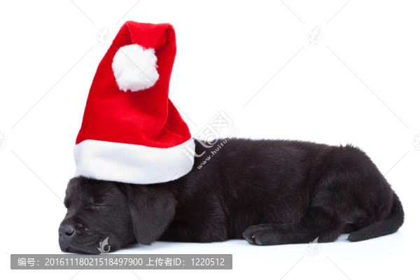 可愛的圣誕老人