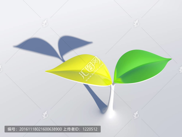 綠色和黃色的葉子