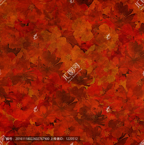 香辣紅花背景