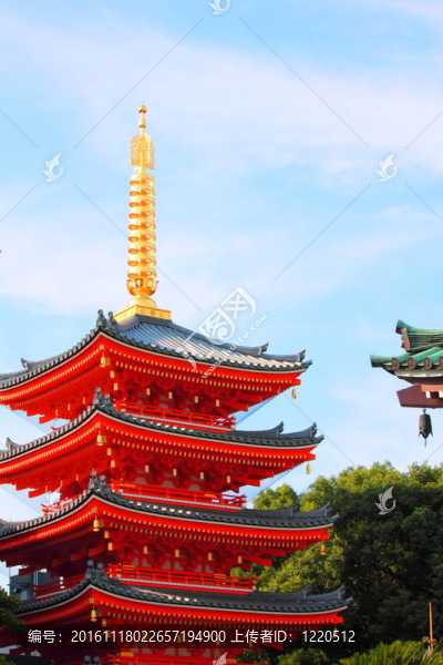 日本的光芒
