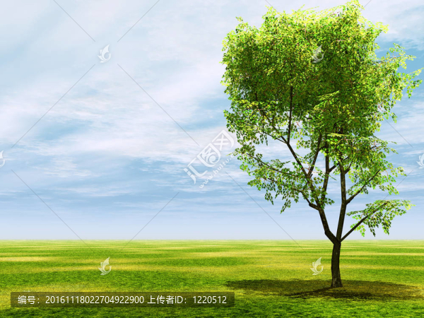 美麗的風景