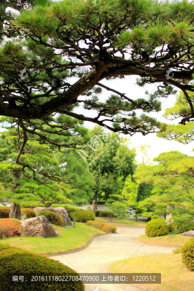 日本式庭園