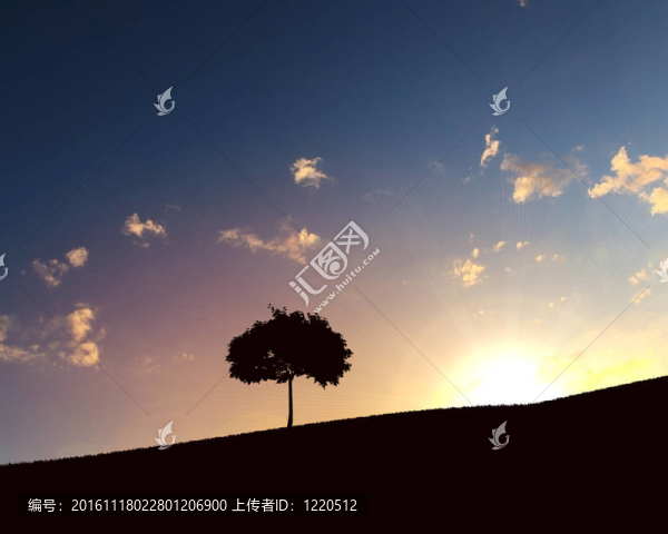 地平線上的孤獨(dú)樹