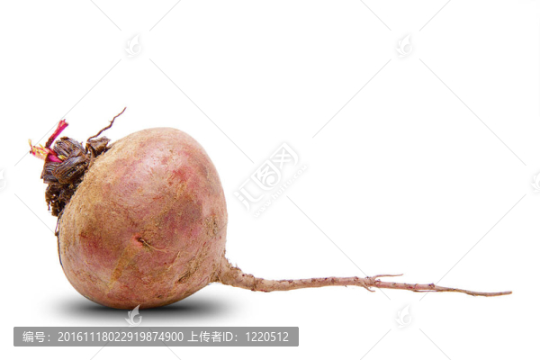 甜菜