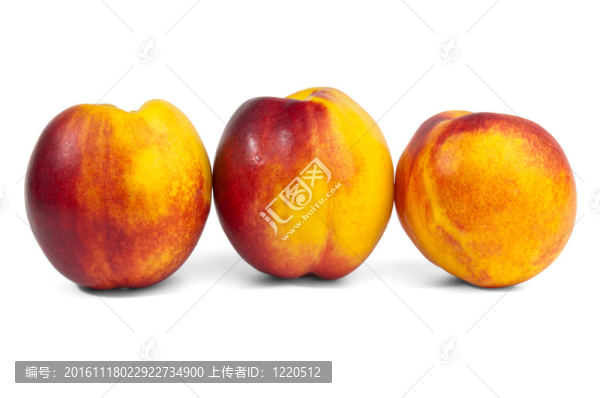 三油桃