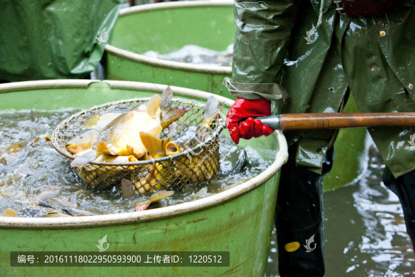 雨池