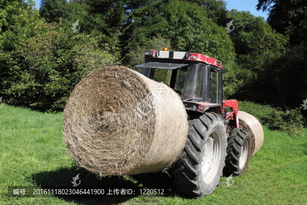 飼料輸送Hay,Bales