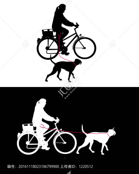 對(duì)狗的皮帶自行車的婦女