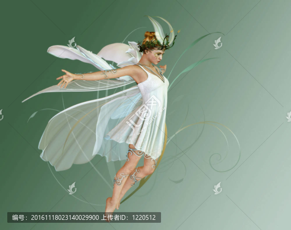蘭花FAE