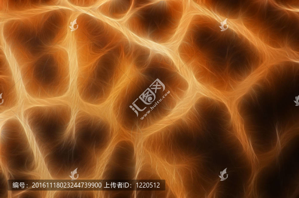長頸鹿的插圖