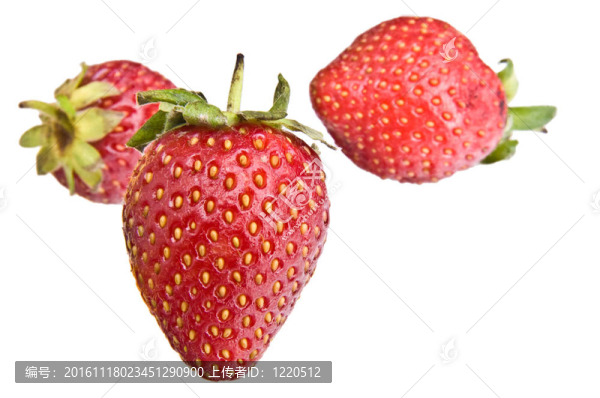 孤立的草莓