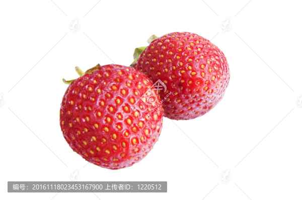 孤立的草莓