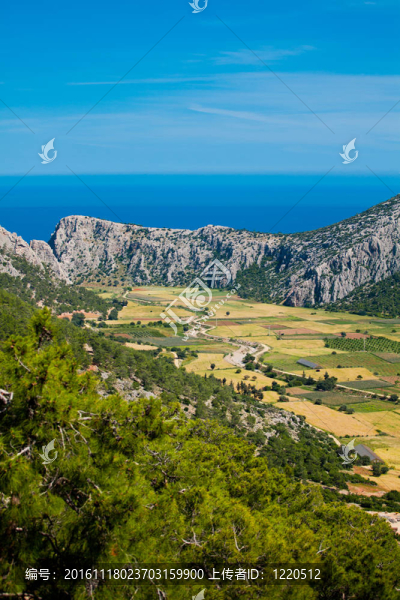 農(nóng)業(yè)在土耳其