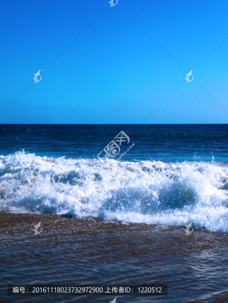 在海灘上