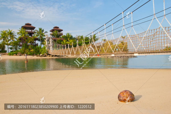 天堂島