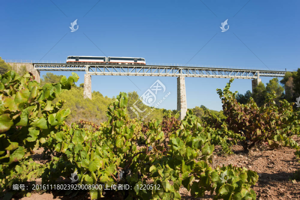 鐵路橋