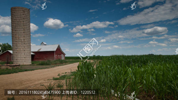 麥田和Barn