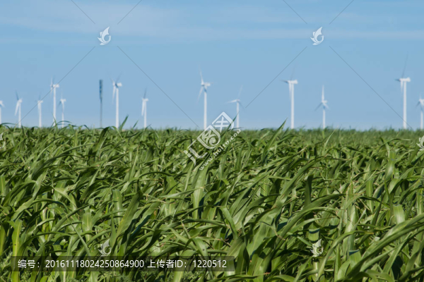 風(fēng)力發(fā)電場
