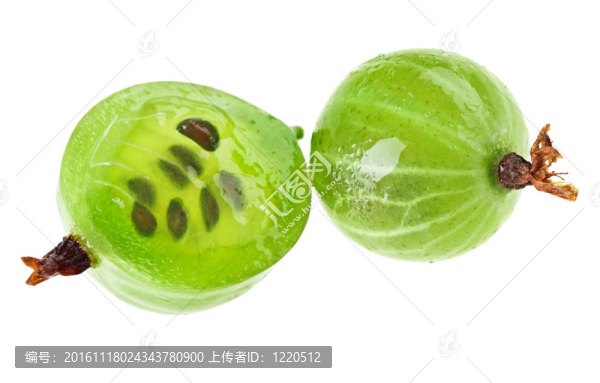 醋栗果實(shí)白色隔離整個(gè)宏觀截面；